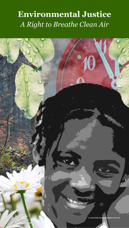 A Right to Breathe Clean Air Banner