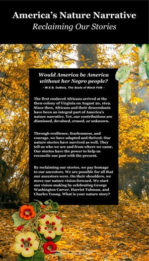 Reclaiming Our Stories Mini-Exhibit Posters Bundle