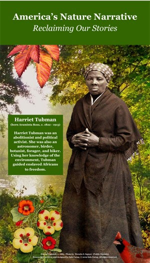 Reclaiming Our Stories: Harriet Tubman Poster