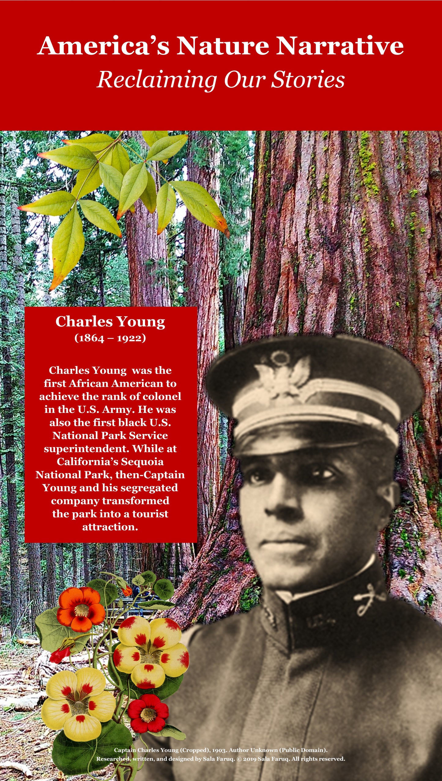 Reclaiming Our Stories: Charles Young Poster